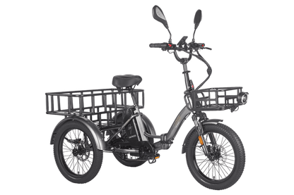 Fafrees F20 Mate HS Cargo E-Bike