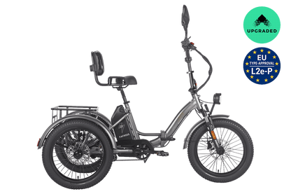 Fafrees F20 Mate HS Cargo E-Bike