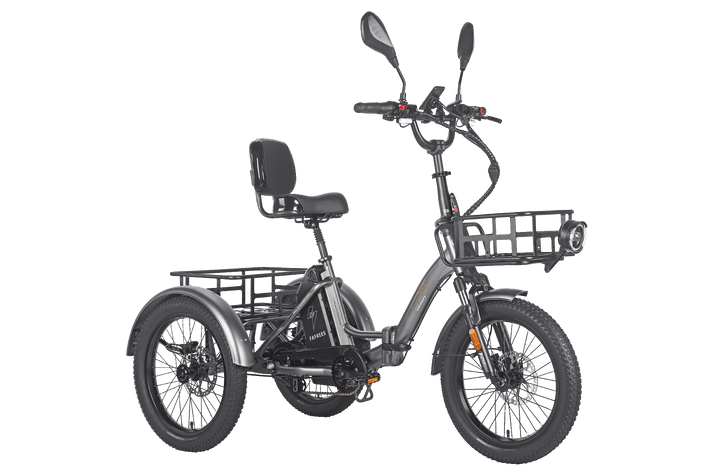 Fafrees F20 Mate HS Cargo E-Bike