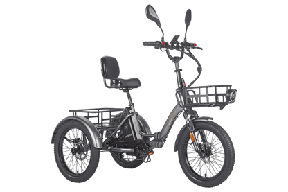 Fafrees F20 Mate HS Cargo E-Bike