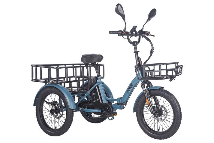 Fafrees F20 Mate HS Cargo E-Bike