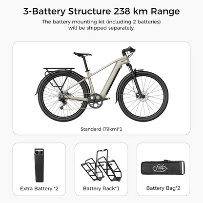 Fiido Nomads Touring E-bike