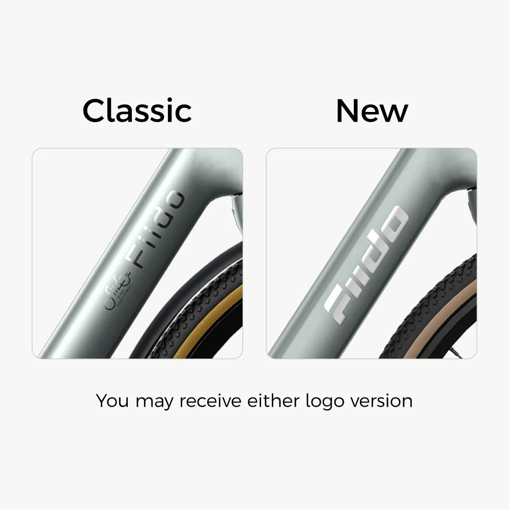 Fiido Air Carbon Fiber E-bike