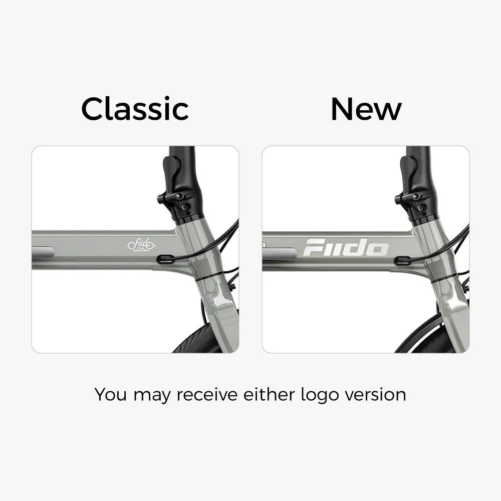 Fiido D11 250W Torque-Sensor Folding Light E-bike