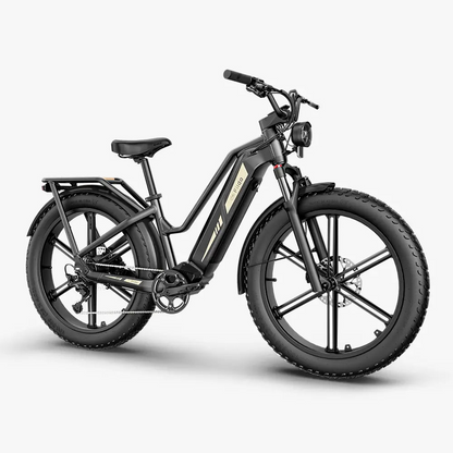 Fiido Titan Electric Mountain Bike