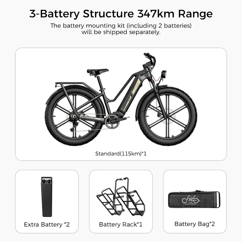 Fiido Titan Electric Mountain Bike