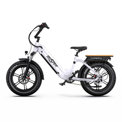 Onesport OT08 Fat Tire E-Bike