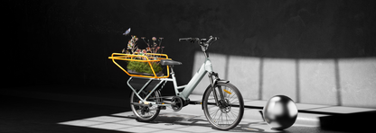 Heybike Galaxy X Cargo E-Bike