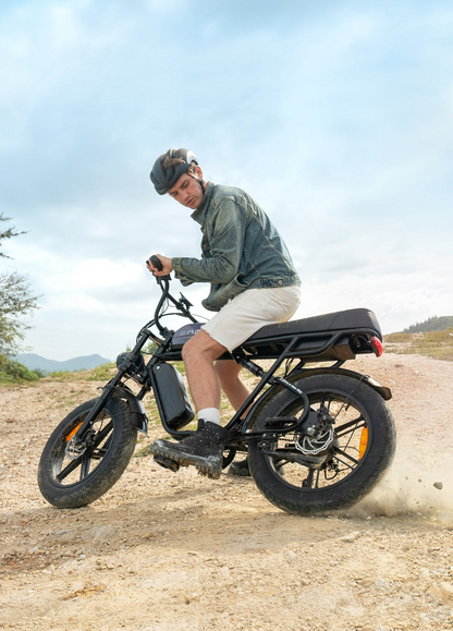 ENGWE M1 Moped Style Ebike