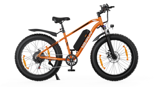 VARUN M26-2 PRO Fat-Tire E-Bike