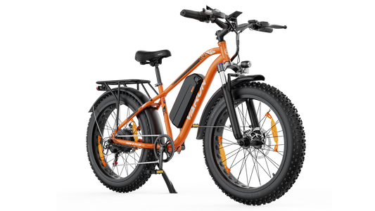 VARUN M26-2 Plus All-Terrain 26 x 4.0" Fat-Tyre E-Bike