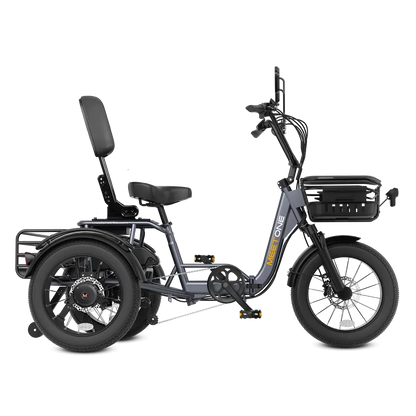 Meet One Breeze Pro 48V 20Ah Fat Tire Electric Trike