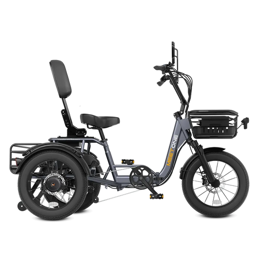 Meet One Breeze Pro 48V 20Ah Fat Tire Electric Trike
