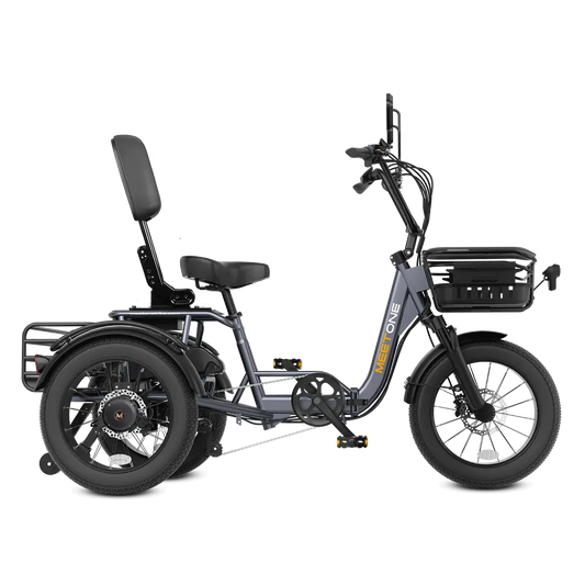 Meet One Breeze Pro 48V 20Ah LG Battery Fat Tire Folding Electric Trike