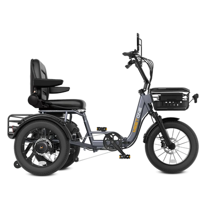 Meet One Breeze Pro 48V 20Ah Fat Tire Electric Trike