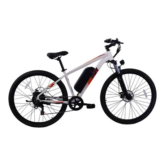 PVY M29 Mountain bike