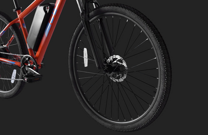 PVY M29 Mountain bike