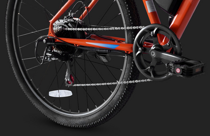 PVY M29 Mountain bike