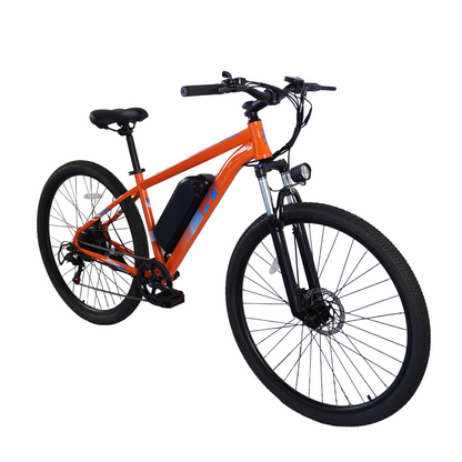 PVY M29 Mountain bike