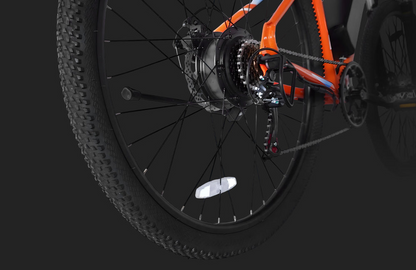 PVY M29 Mountain bike