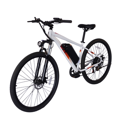 PVY M29 Mountain bike