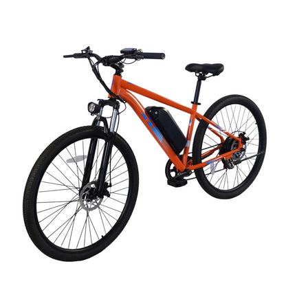 PVY M29 Mountain bike