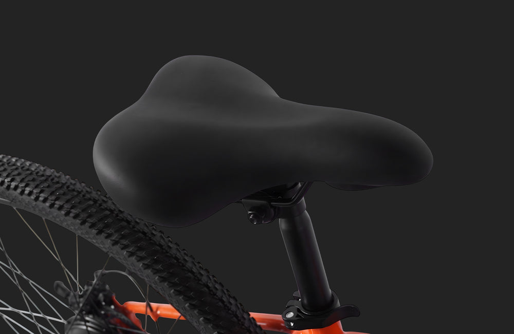 PVY M29 Mountain bike