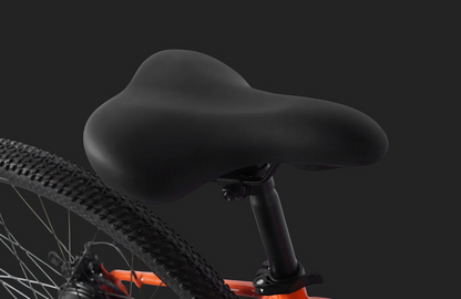 PVY M29 Mountain bike