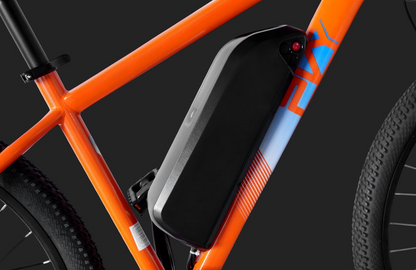 PVY M29 Mountain bike