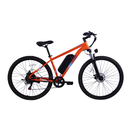 PVY M29 Mountain bike