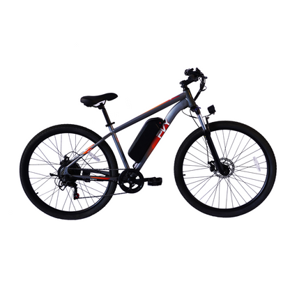PVY M29 Mountain bike