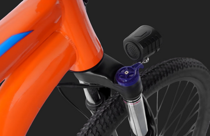 PVY M29 Mountain bike