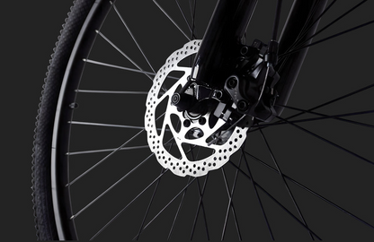 PVY M29 Mountain bike