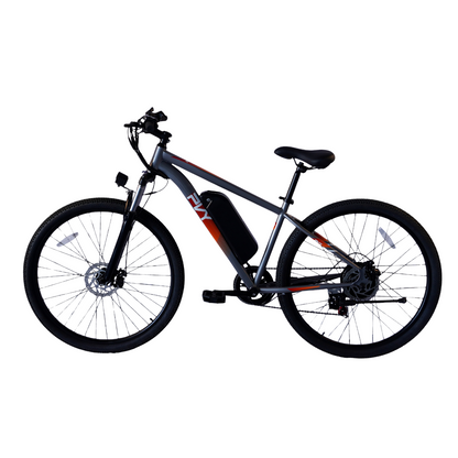 PVY M29 Mountain bike