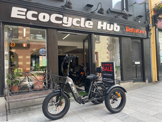 PVY F20 Electric Cargo Trike