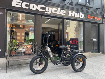 PVY F20 Electric Cargo Trike