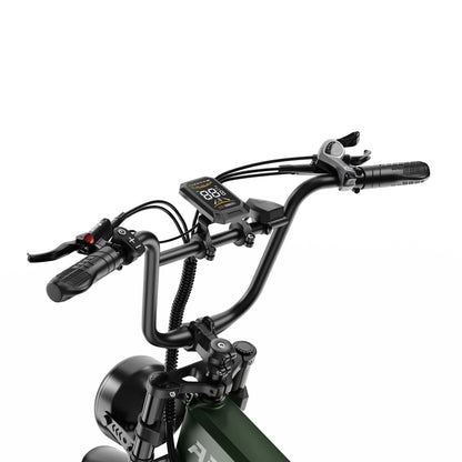 APEFOX RH20 Dual 750W Motor 100km Range Folding Fat-Tyre E-Bike