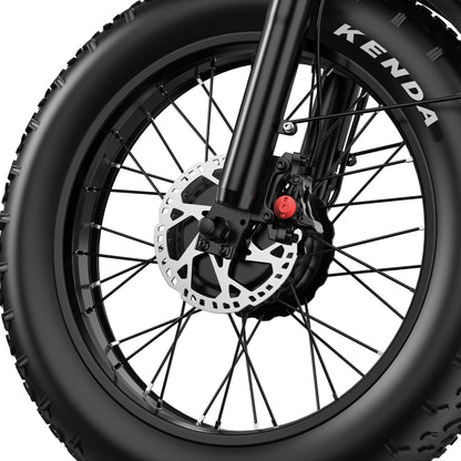 APEFOX RH20 Dual 750W Motor 100km Range Folding Fat-Tyre E-Bike