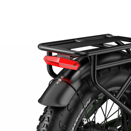 APEFOX RH20 Dual 750W Motor 100km Range Folding Fat-Tyre E-Bike