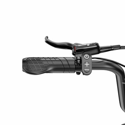 APEFOX RH20 Dual 750W Motor 100km Range Folding Fat-Tyre E-Bike