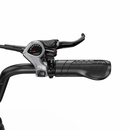 APEFOX RH20 Dual 750W Motor 100km Range Folding Fat-Tyre E-Bike
