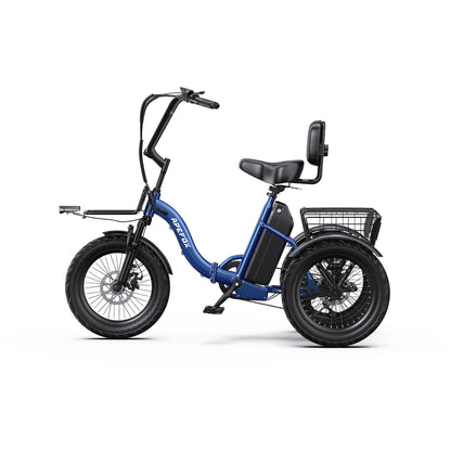 APEFOX RH30 Electric Trike