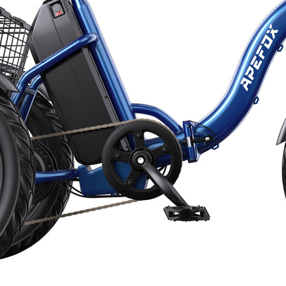 APEFOX RH30 Electric Trike
