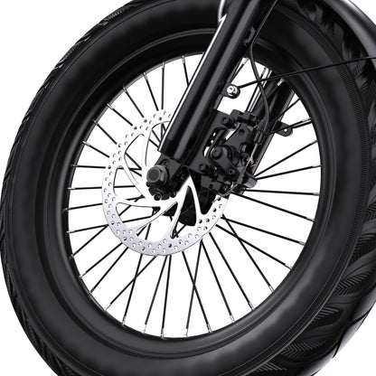 APEFOX RH30 Electric Trike