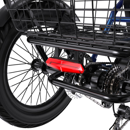 APEFOX RH30 Electric Trike
