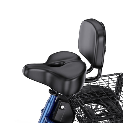 APEFOX RH30 Electric Trike