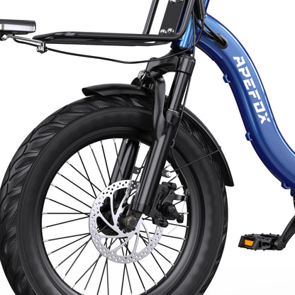 APEFOX RH30 Electric Trike