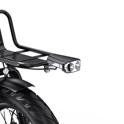 APEFOX RH30 Electric Trike