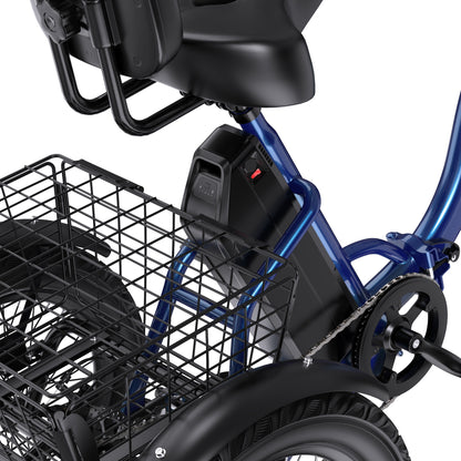 APEFOX RH30 Electric Trike