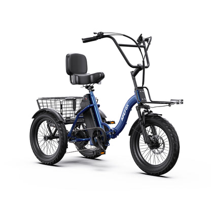 APEFOX RH30 Electric Trike